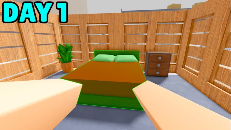 24 Hours Overnight Codes