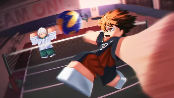 Volleyball Ascended Codes