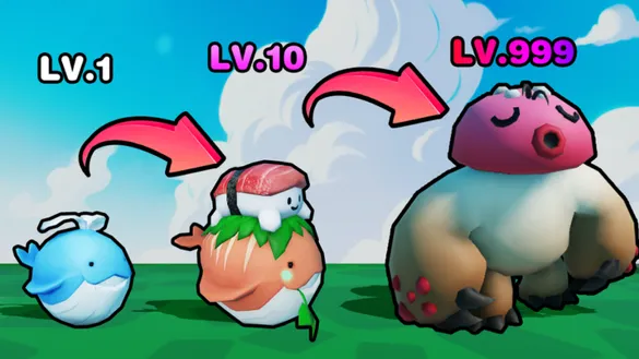 Evolution Boom Codes