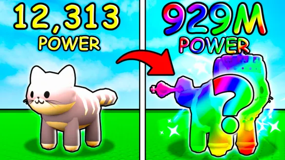 Meow Simulator Codes