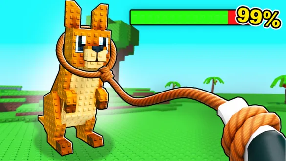 Catch And Tame Codes