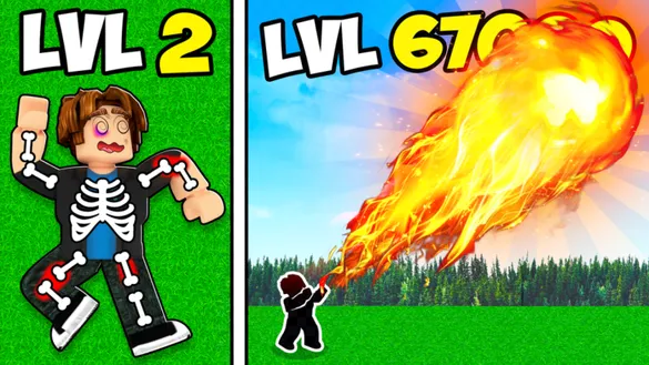 Fireball Training Codes