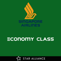 Economy Class Singapore airlines Decal