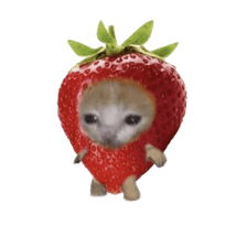 strawberry cat crosshair! Decal