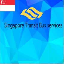 Singapore Transit Bus Services LOGO Decal