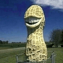 Cursed image peanut Decal
