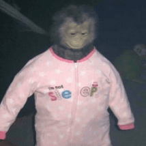 Cursed Monkey Decal