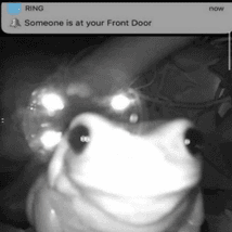 cursed image Decal