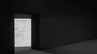 Survive the Job Application Codes