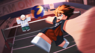 Volleyball Ascended Codes