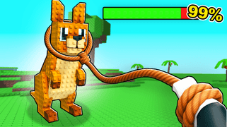 Catch And Tame Codes