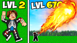 Fireball Training Codes