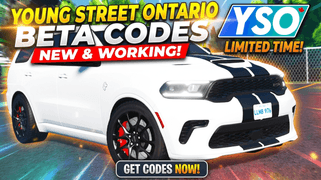 Young Street Ontario Codes