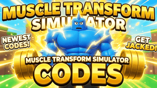 Muscle Transform Simulator Codes