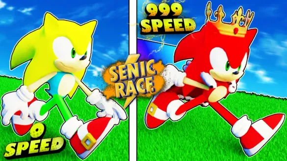 Sonic Race Codes