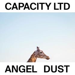 Angel Dust Music Code