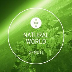 Playful Youth Music Code