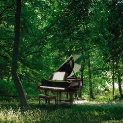 Still Undecided Music Code