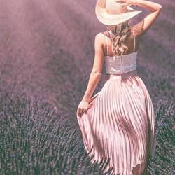 A BEAUTIFUL DREAM Music Code