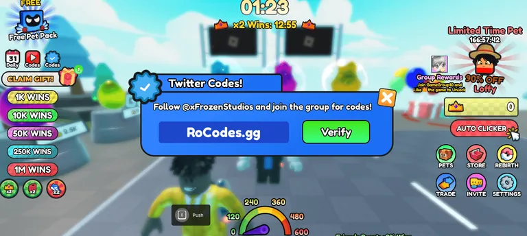 Speed Race Codes