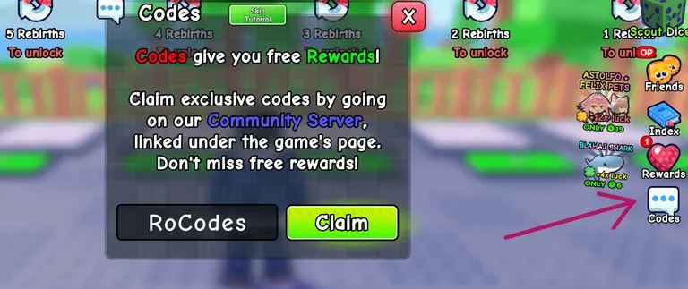 RoCodes Spin a Fem codes