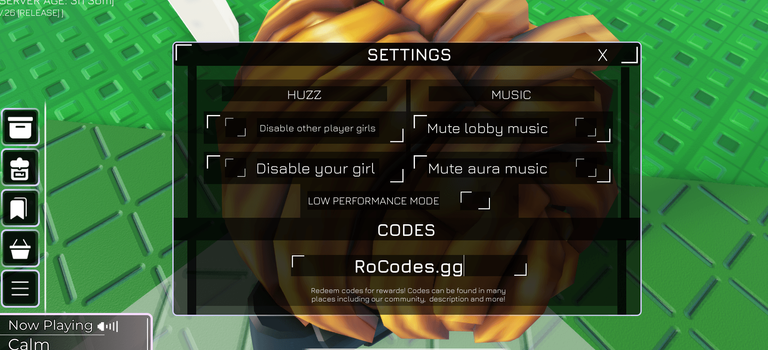 Roblox HUZZ RNG Codes section in the settings menu